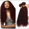 99J Red Wine Color Jerry Curly Wave 100% Virgin Remy Hair img-min