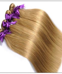 Honey Blonde Lace Front img 4 min