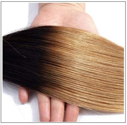 Honey Blonde Ombre Bundles img 4 min