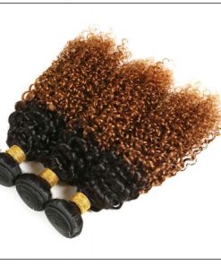 Brazilian Ombre Kinky Curly Hair Extensions