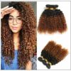Brazilian Ombre Kinky Curly Hair Extensions IMG-min