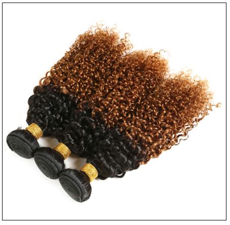 Brazilian Ombre Kinky Curly Hair Extensions