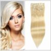 #613 Lightest Blonde Clip In Hair Extensions img-min