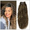 Kinky Curly Hair Extensions Real Human Hair Brown #4 Highlighted with Caramel Blonde #27 img-min