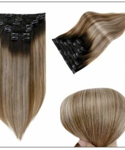 Balayage Clip in Hair Extensions 3