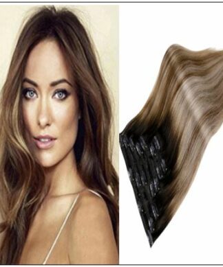 Balayage Clip in Hair Extensions img