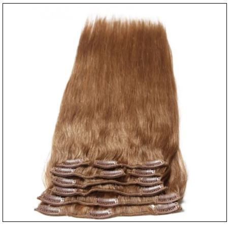 Light Brown Clip in Human Hair Extensions (1)