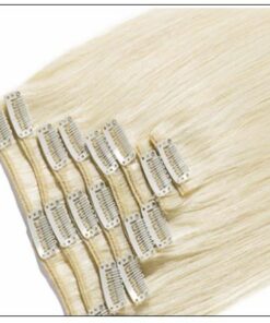 Platinum Blonde Clip in Hair Extensions 2-min