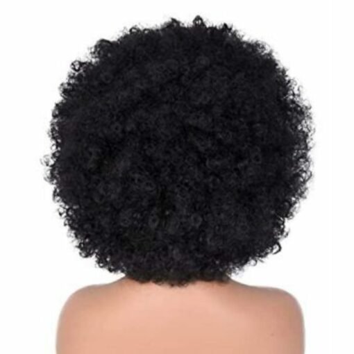 Black Afro wig-kinky curly4