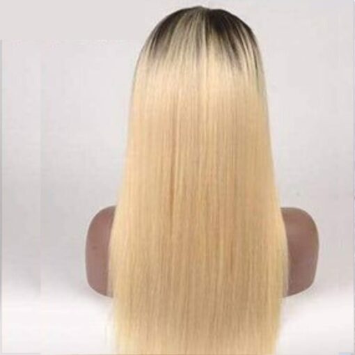 Blonde ombre wig 4