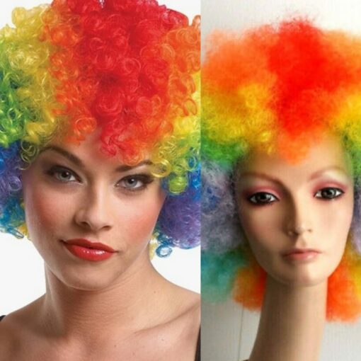 Rainbow Afro wig kinky curly1