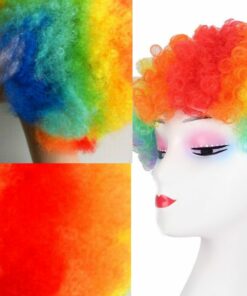 Rainbow Afro wig kinky curly2