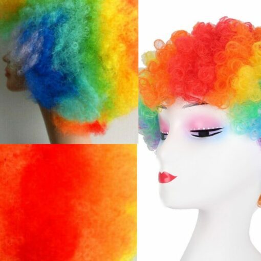 Rainbow Afro wig-kinky curly2