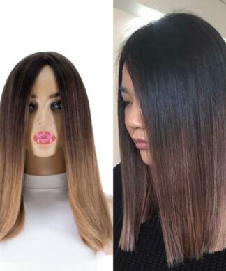 Brown Ombre Hair-Straight1
