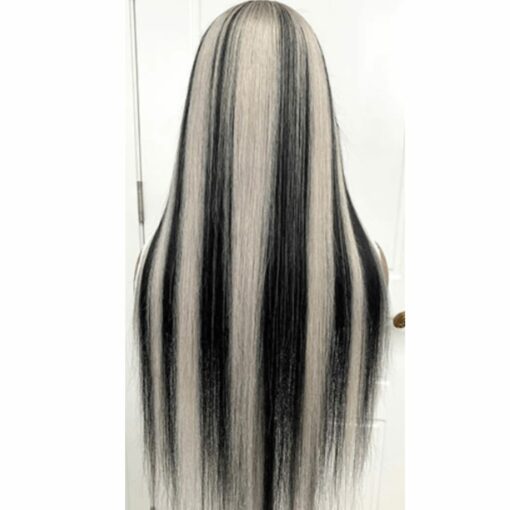 black wigs with gray highlights-long straight 2