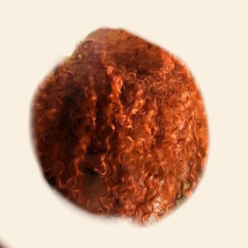 4b hair-orange curly4