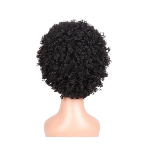 African American short curly hair wig4