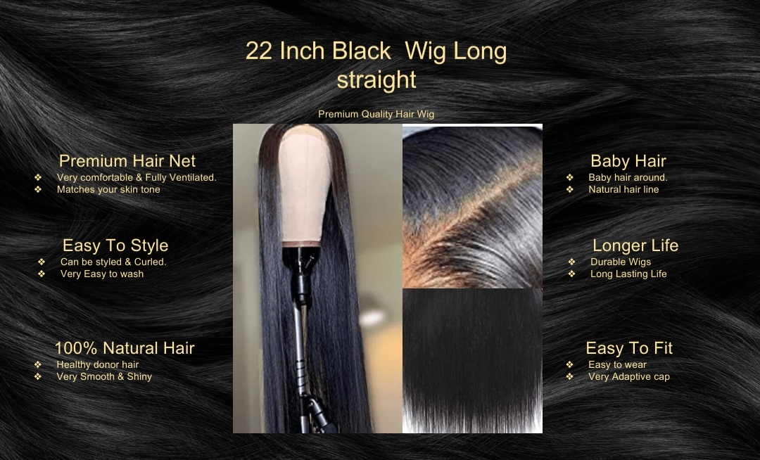 22 Inch Black Wig Long straight
