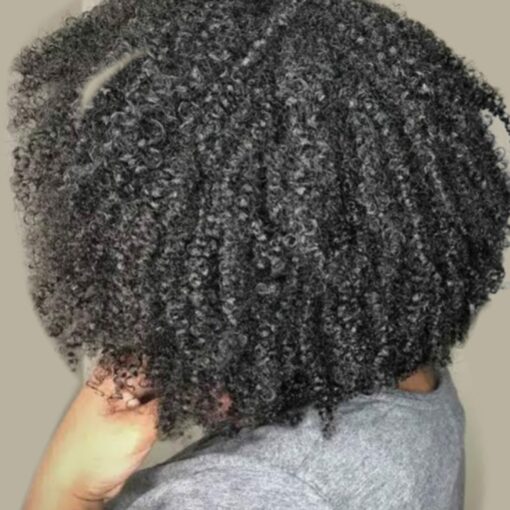 type 4 natural black hair-curly4