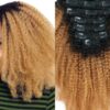 short clip in hair extensions ombre brown curly 1