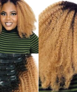 short clip in hair extensions ombre brown curly 3